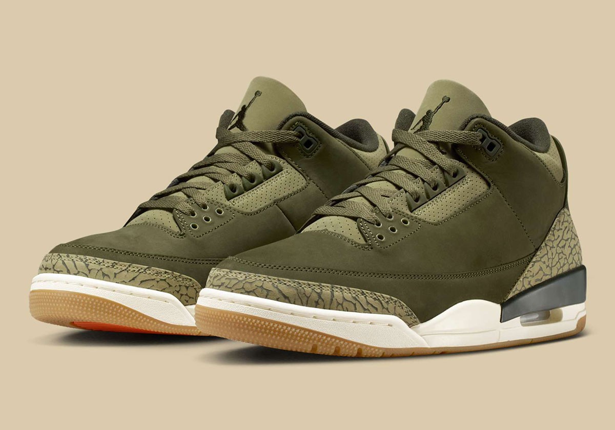 Nike Air Jordan 3 Retro Family Affair Medium Olive Sequoia DN3707-202 Men’s