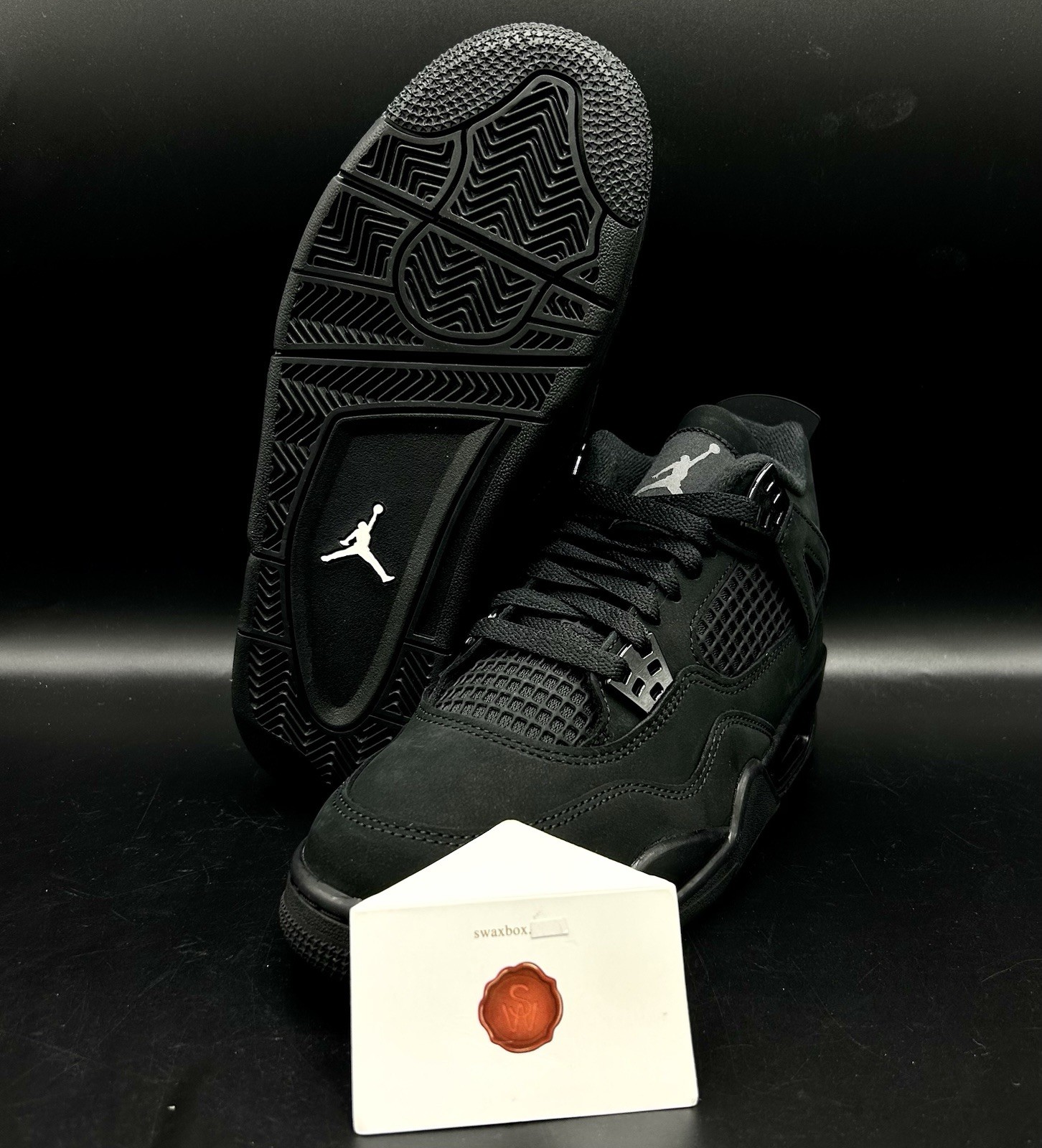 Air Jordan 4 “Black Cat” FV5029-010 Ship Now