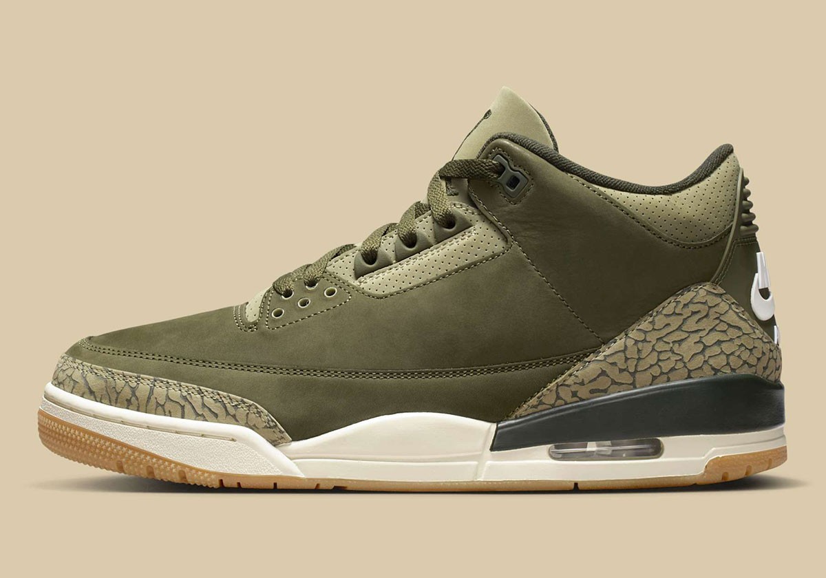 Nike Air Jordan 3 Retro Family Affair Medium Olive Sequoia DN3707-202 Men’s