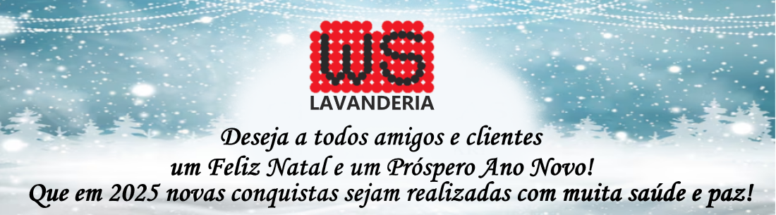 WS Lavanderia, NATAL 2024 banner